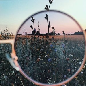 Meet your Posher, Jessi